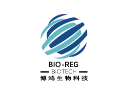 主要客戶